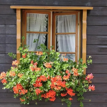 Maien Szálloda Todtmoos