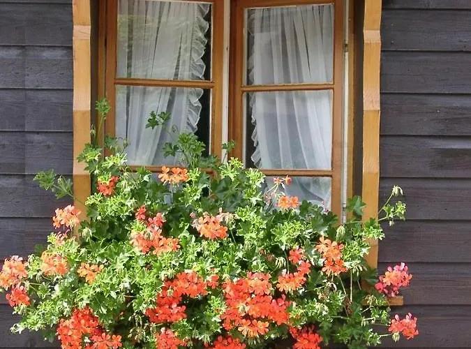 Maien 酒店 托特莫斯